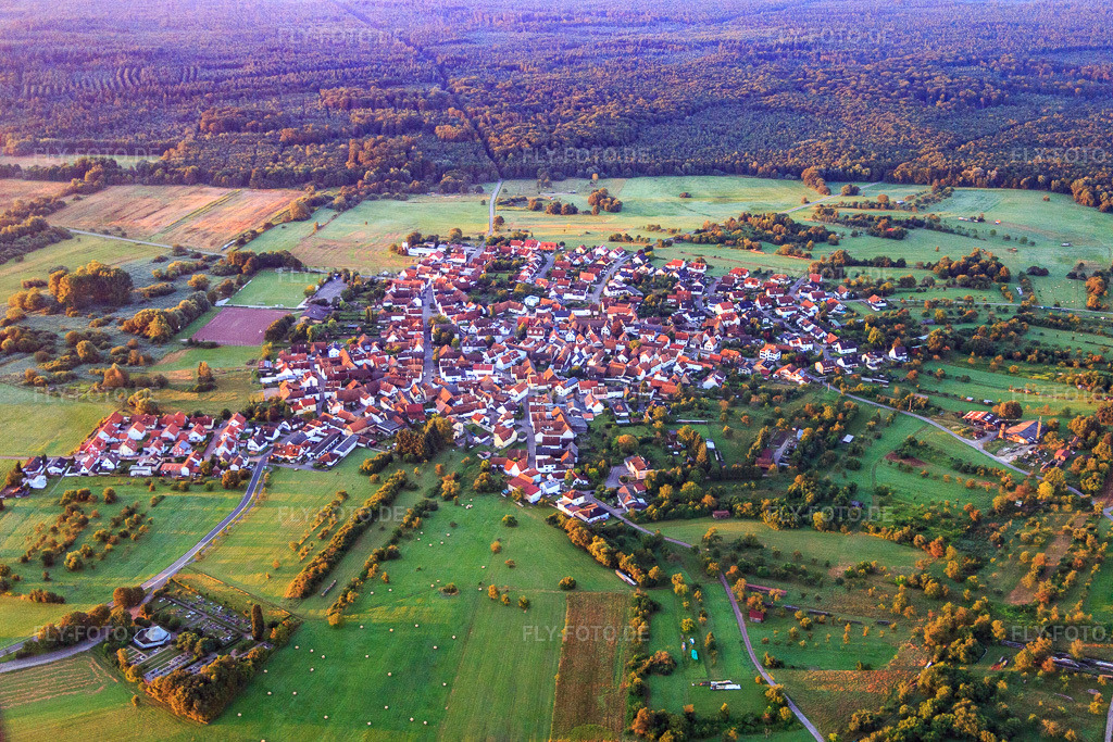 Luftbild: Dorfansicht auf einer Waldlichtung im Bienwald von Norden im Ortsteil Büchelberg in Wörth im Bundesland Rheinland-Pfalz in Deutschland. Foto: IMG_092200.jpg vom 01.08.2016 durch Werner Riehm/FLY-FOTO.de