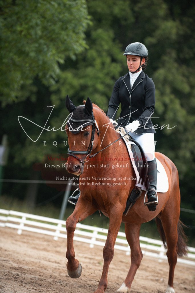 DSC_9788 | Pferde- und Turnierfotografie in Westsachsen. Pferdeportraits, Auftragszeichnungen und intuitive Kunst.