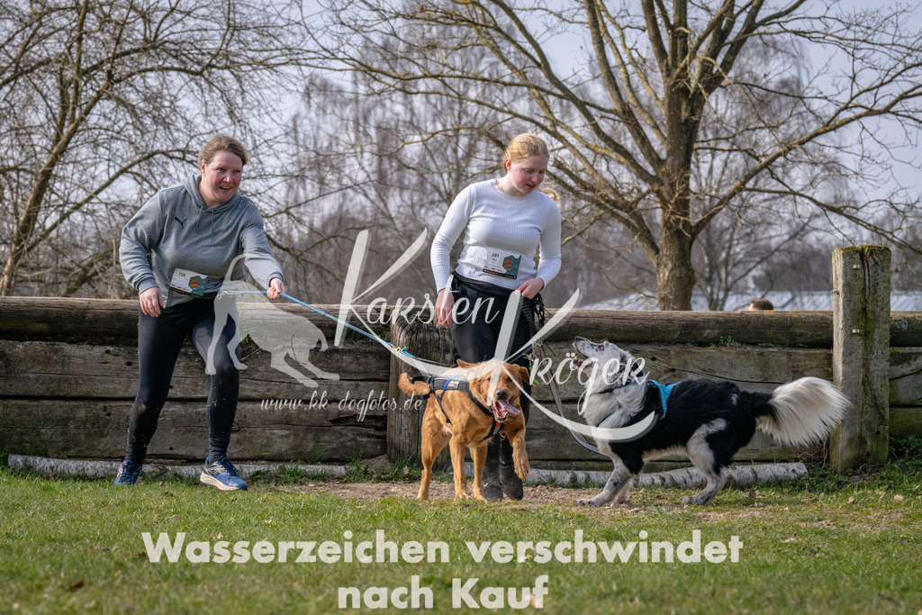 _ZZ90627 | kk-dogfotos