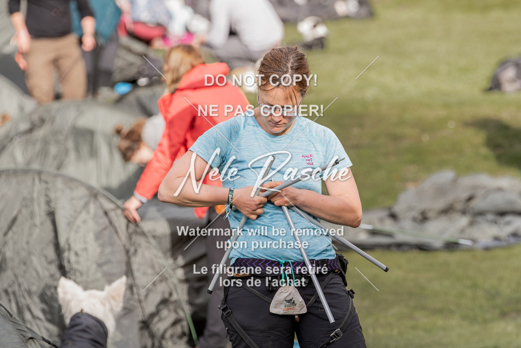 NR__0955 | nelerasche