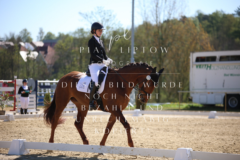 IMGT0765 | pl-fotografie