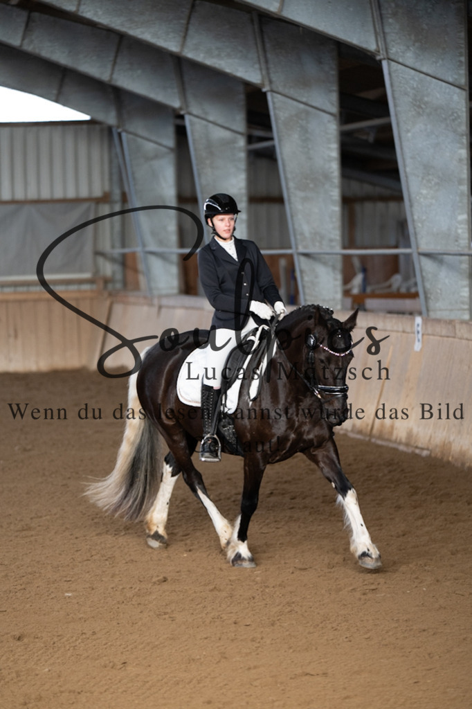 A7V05272 | Pferdefotograf