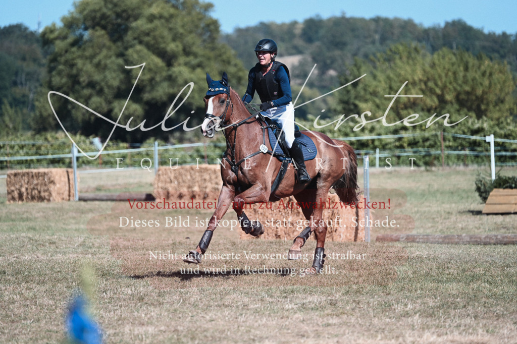 DSC_8624 | Pferde- und Turnierfotografie in Westsachsen. Pferdeportraits, Auftragszeichnungen und intuitive Kunst.