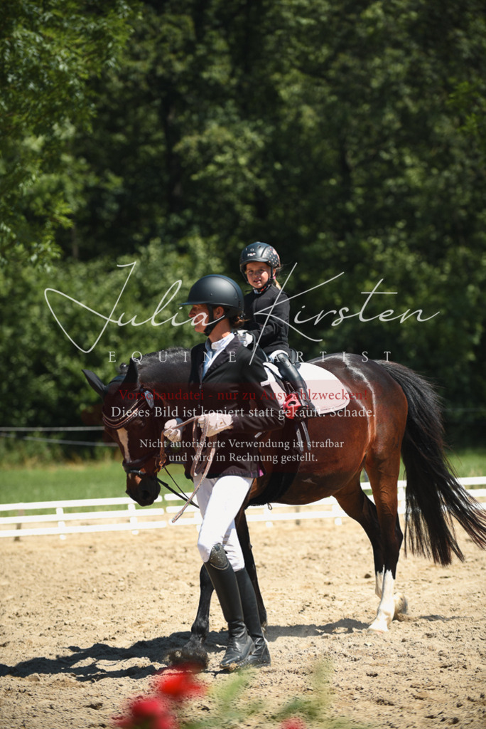 DSC_2047 | Pferde- und Turnierfotografie in Westsachsen. Pferdeportraits, Auftragszeichnungen und intuitive Kunst.