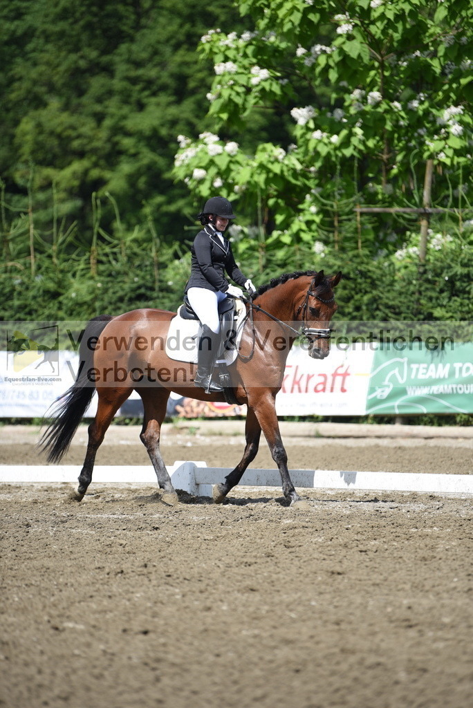 DSC_0485 | equestrian-live-com