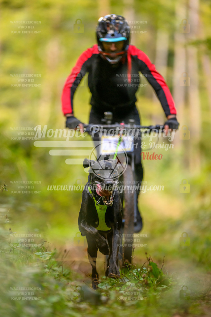 MompixPhotography_Yens2025_B2-58 | PayLife