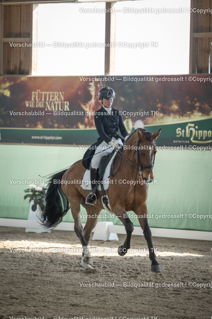 _D5A0008 | Emotionale Pferde- & People-Fotografie rund um Heidelberg, Leimen & Umgebung. Natürliche Fotos von Pferd, Mensch & Familie. Jetzt Termin sichern!