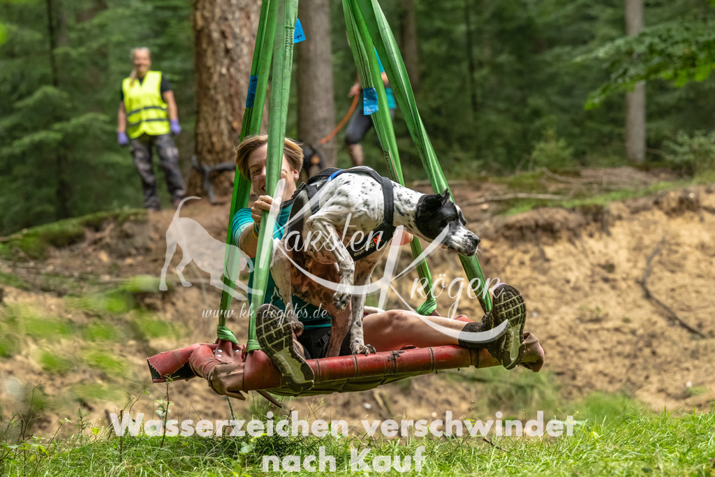 1239_ZZ91427-Bearbeitet | kk-dogfotos