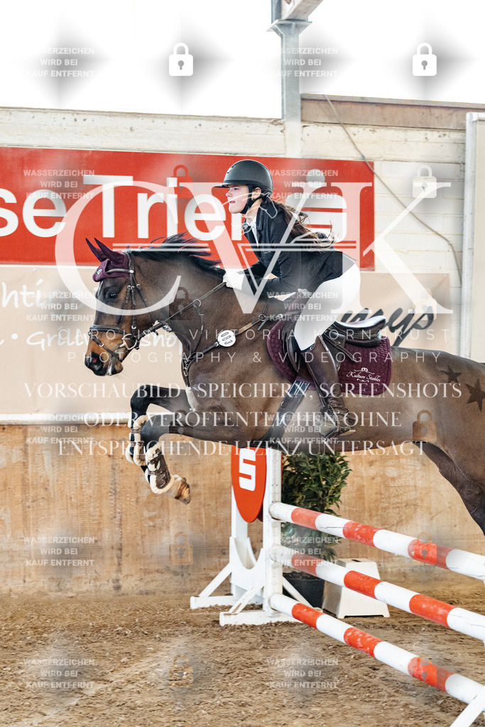 CK904201 | Turnierfotografie Pferdefotografie Trier Rheinland-Pfalz Pferdesport Reitsport Tierfotografie Sportfotografie Pferdevideo Pferdevideografie Equestrianvideography equestrianphotography  - Realized with Pictrs.com