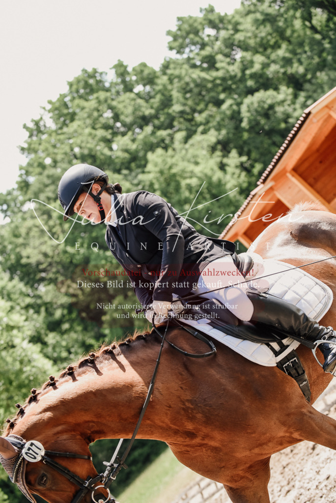 DSC_1299 | Pferde- und Turnierfotografie in Westsachsen. Pferdeportraits, Auftragszeichnungen und intuitive Kunst.