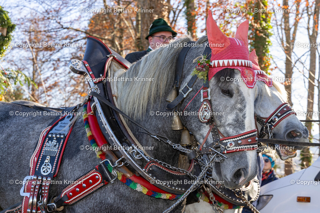 LBT25-1272 | foto-bettina-krinner - Realisiert mit Pictrs.com