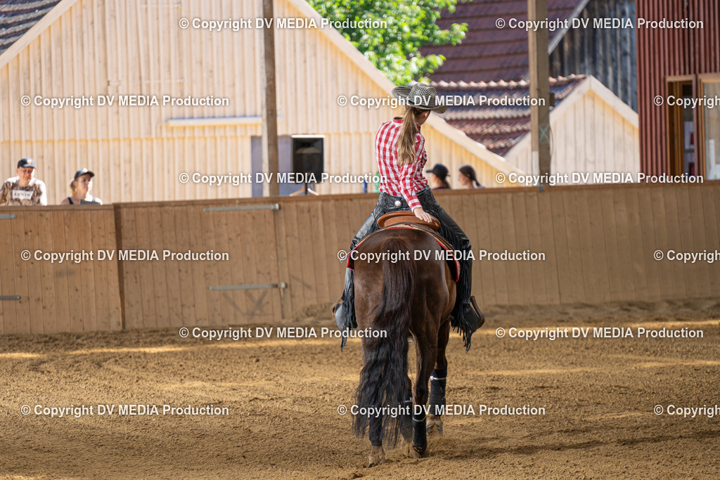 DSC00115 | dv-media-shop - Realisiert mit Pictrs.com