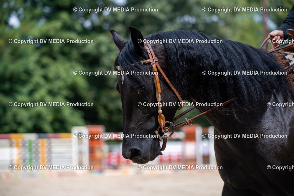 ZS2_3799 | dv-media-shop - Realisiert mit Pictrs.com