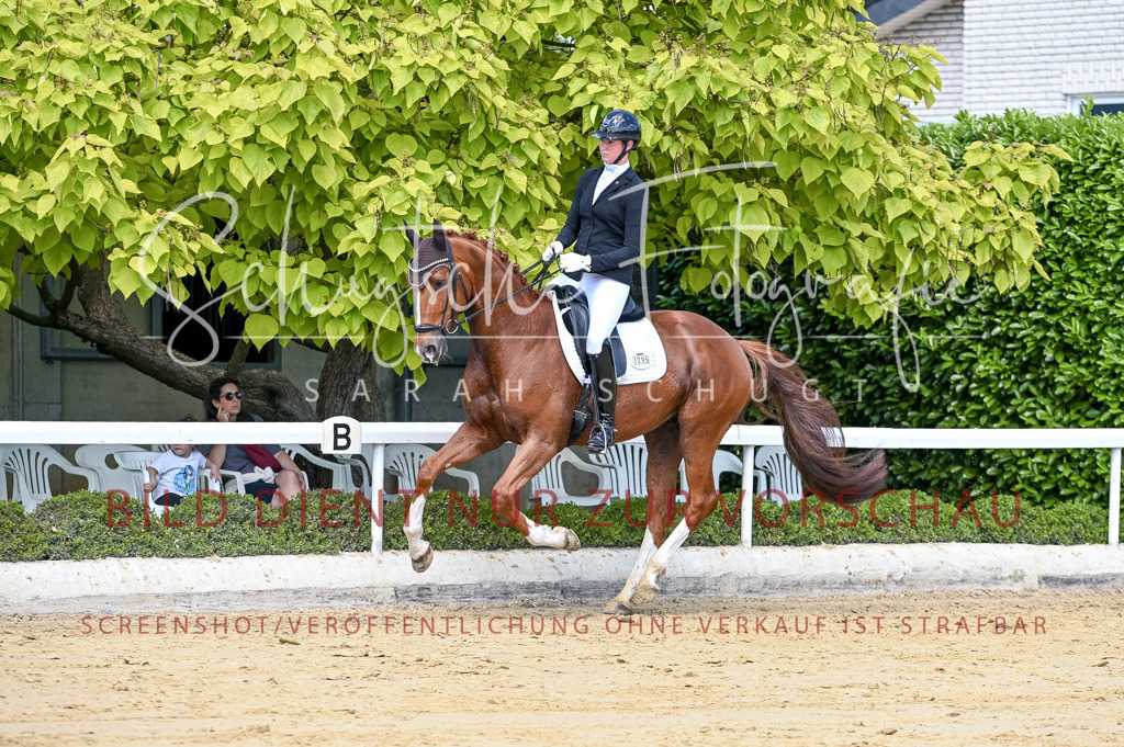 Schugtsche-Aluta25-49.Dressurpferdeprf.A-106 | Schugtsche Fotografie - Realisiert mit Pictrs.com