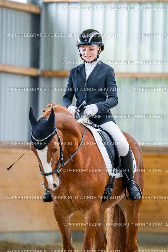 DSC04795 | Pferdegrafie