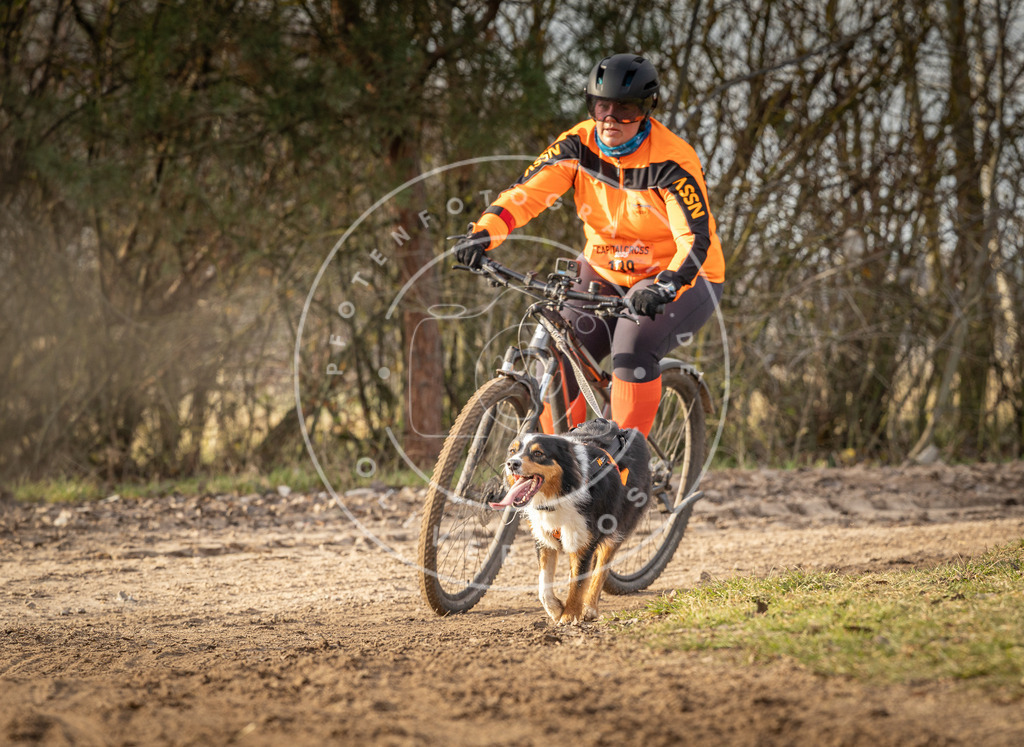 Pfotenfotografie_DV3A8785 | Hundefotografie, Tierfotograf, Pfotenfotografie, Fotoshooting Hund, Hunde Portrait, Hundesport, Hundeportraits, Heideshooting, Hunde, Sportfotograf, Hundefotograf, Turnierhundsport, THS,  - Realisiert mit Pictrs.com