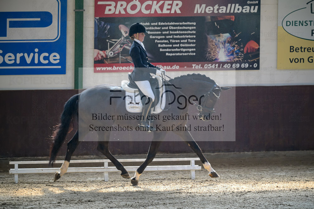 Reitturnier Voxtrup | Entdecke hochwertige Reitturnierfotos von Foto Oger. Professionell, emotional und authentisch – jetzt Lieblingsmomente im Shop bestellen.Deutschlandweite Turnierfotografie. - Realisiert mit Pictrs.com
