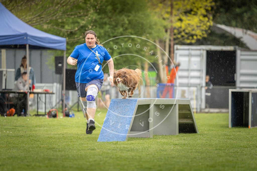 Pfotenfotografie_DV3A3131 | Hundefotografie, Tierfotograf, Pfotenfotografie, Fotoshooting Hund, Hunde Portrait, Hundesport, Hundeportraits, Heideshooting, Hunde, Sportfotograf, Hundefotograf, Turnierhundsport, THS,  - Realisiert mit Pictrs.com