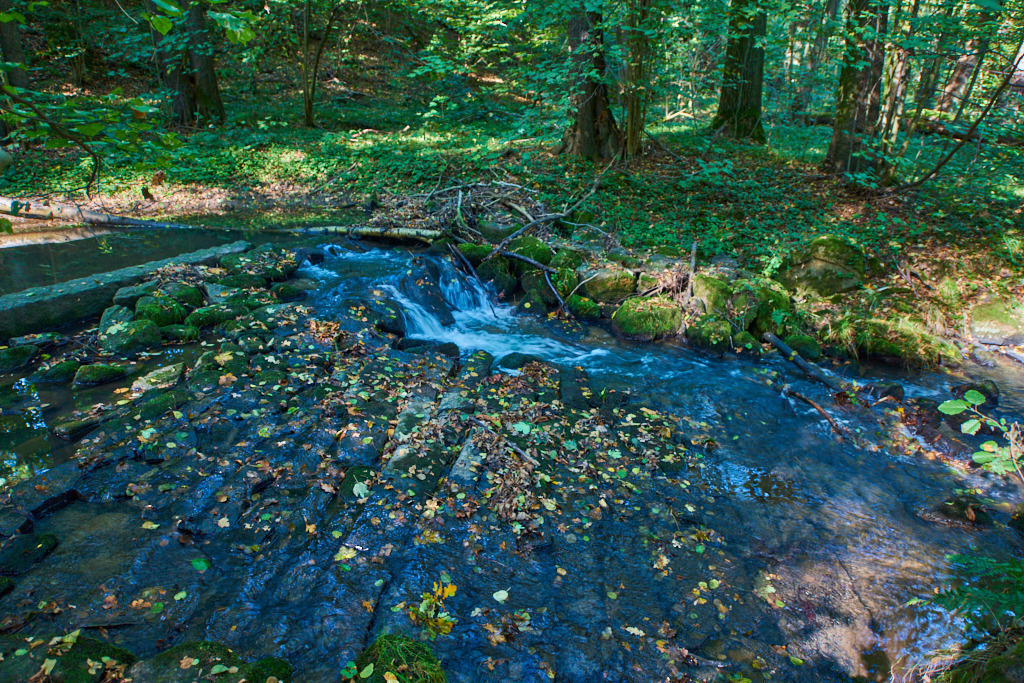 In der Neustädtler Skala 08 | Bedeutsame Landschaften Deutschlands - Realisiert mit Pictrs.com