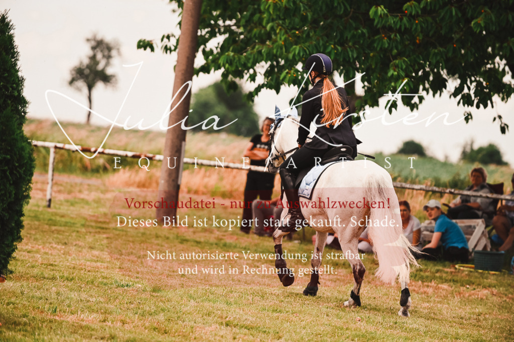 DSC_6961 | Pferde- und Turnierfotografie in Westsachsen. Pferdeportraits, Auftragszeichnungen und intuitive Kunst.