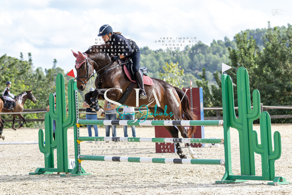 IMG_3114 | s-jay-photography - Realisiert mit Pictrs.com