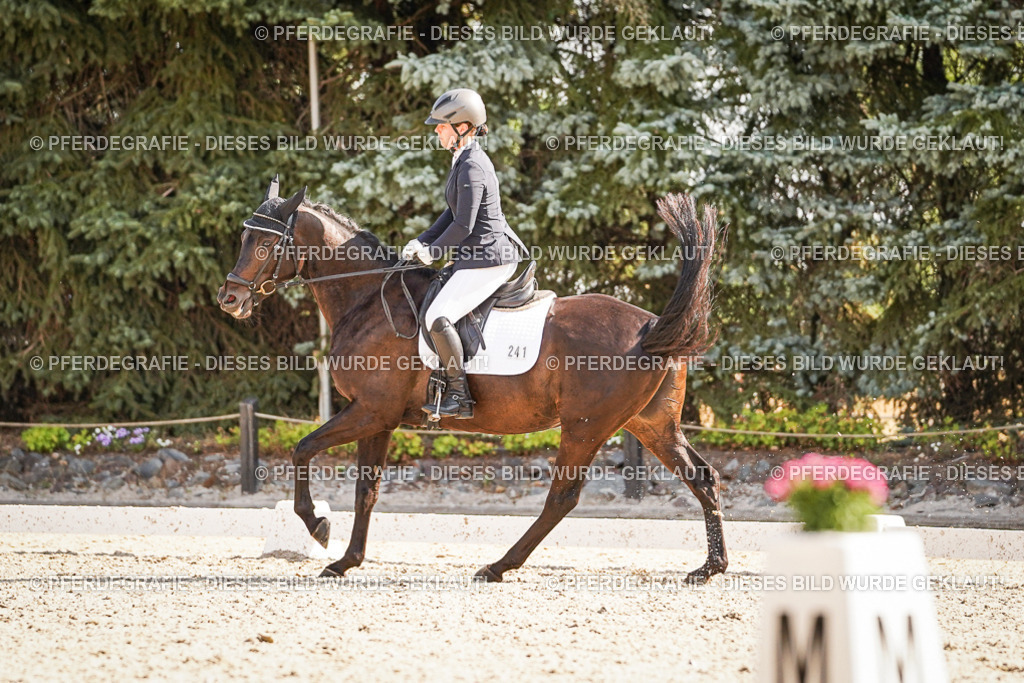 DSC00394 | Pferdegrafie