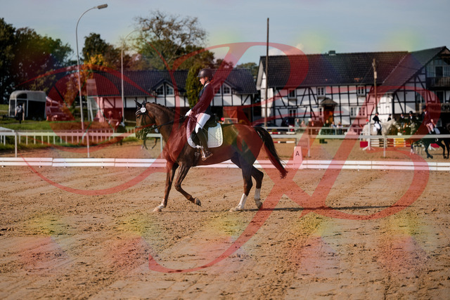 2026_10_03_Siefer-Hof_114729_Z63_26434899 | Professionelle Reitsport-, Turnier- und Eventfotografie von Robert Broda. Galerien mit ausgewählten und bearbeiteten Bildern direkt online ansehen und bestellen.