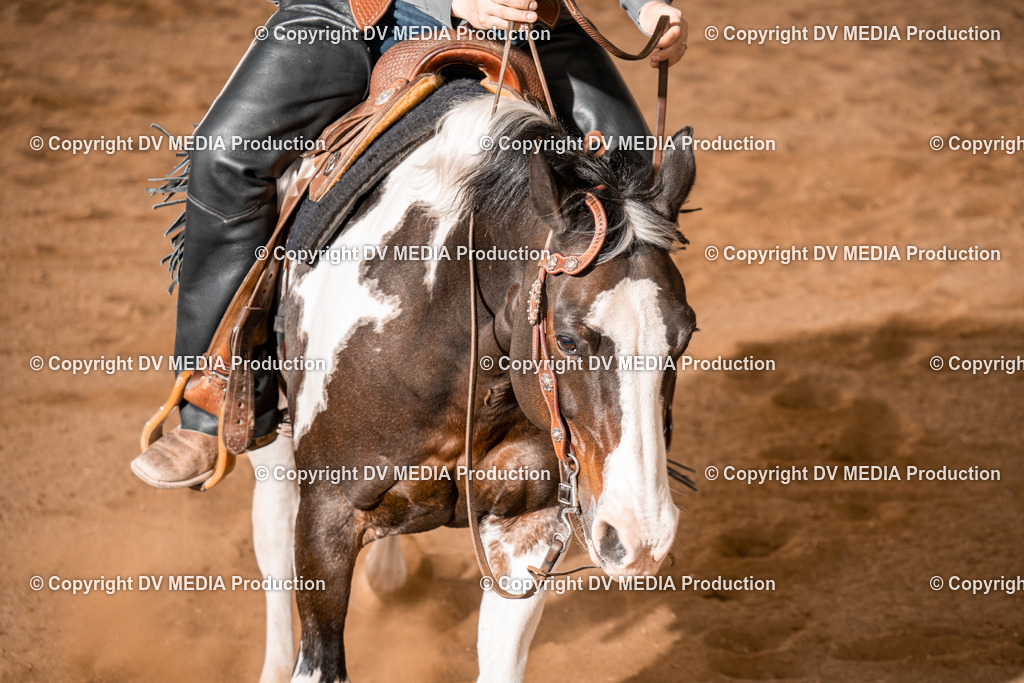 BA400773 | dv-media-shop - Realisiert mit Pictrs.com