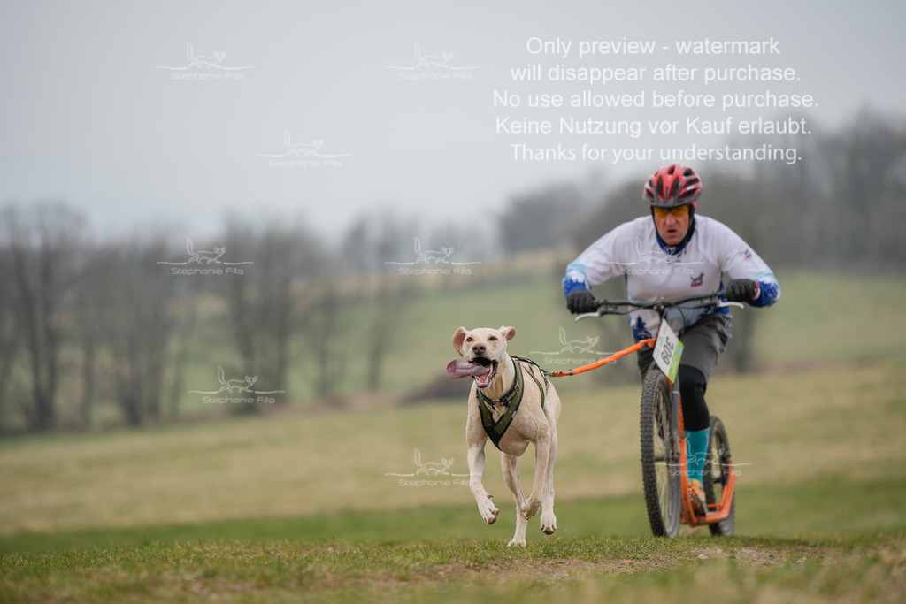 ScooterSA-43 | stephaniefillaphotographie - Realisiert mit Pictrs.com