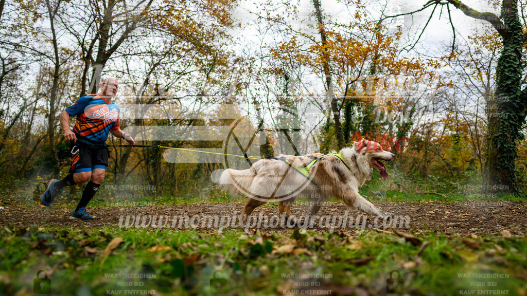 MompixPhotography_Bischwiller24_DI_CoursedeRelais-101 | PayLife
