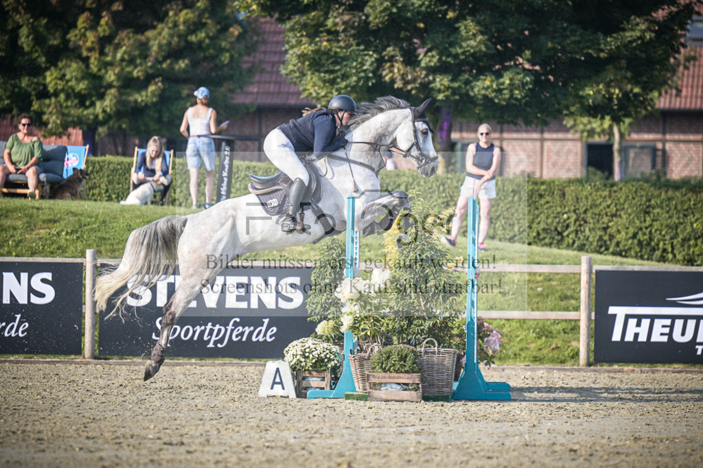 DOS_1723 | Entdecke hochwertige Reitturnierfotos von Foto Oger. Professionell, emotional und authentisch – jetzt Lieblingsmomente im Shop bestellen.Deutschlandweite Turnierfotografie. - Realisiert mit Pictrs.com