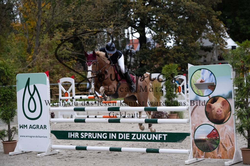 A7V08889 | Turnier/Reitfotograf