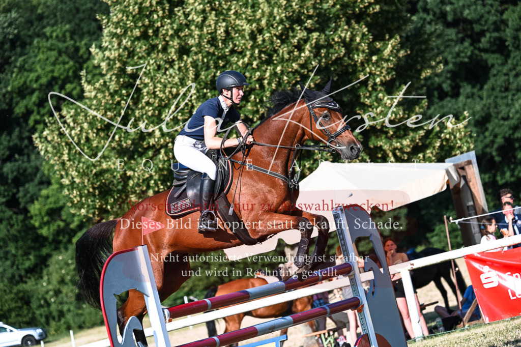 DSC_2698 | Pferde- und Turnierfotografie in Westsachsen. Pferdeportraits, Auftragszeichnungen und intuitive Kunst.
