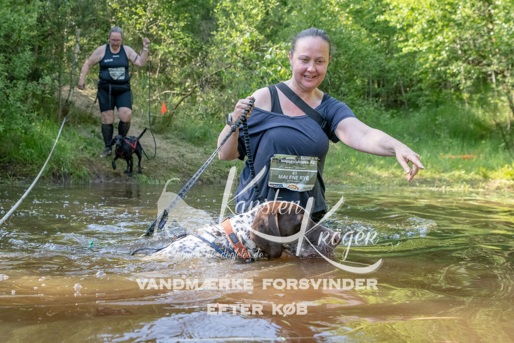 1700DKK991526 | kk-dogfotos