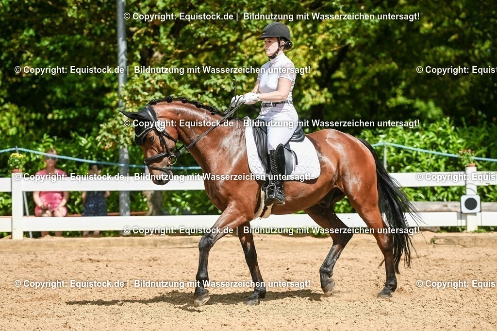 20230715_02_Dressurreiterprüfung Kl.L_0205 | equistock