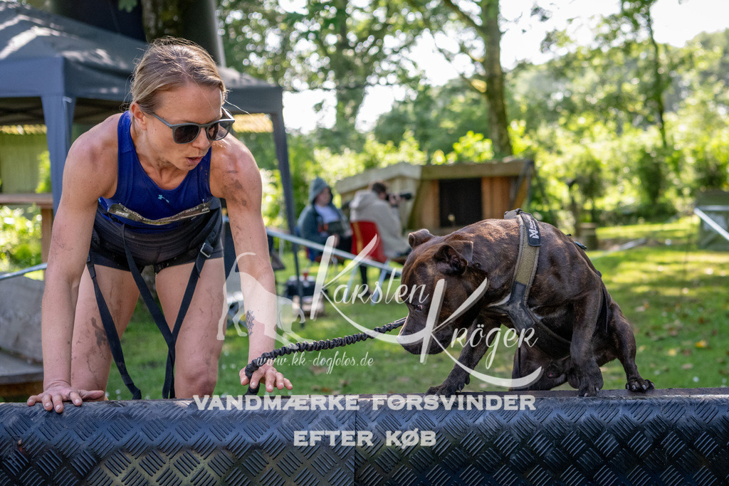 1536_ZZ91844 | kk-dogfotos