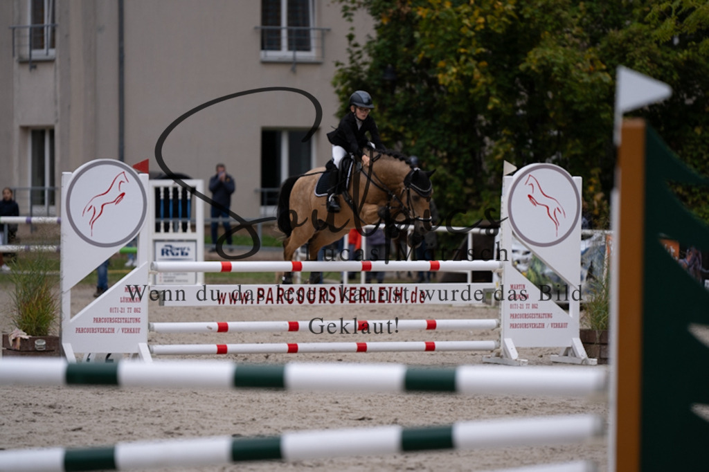 A7V09313 | Pferdefotograf