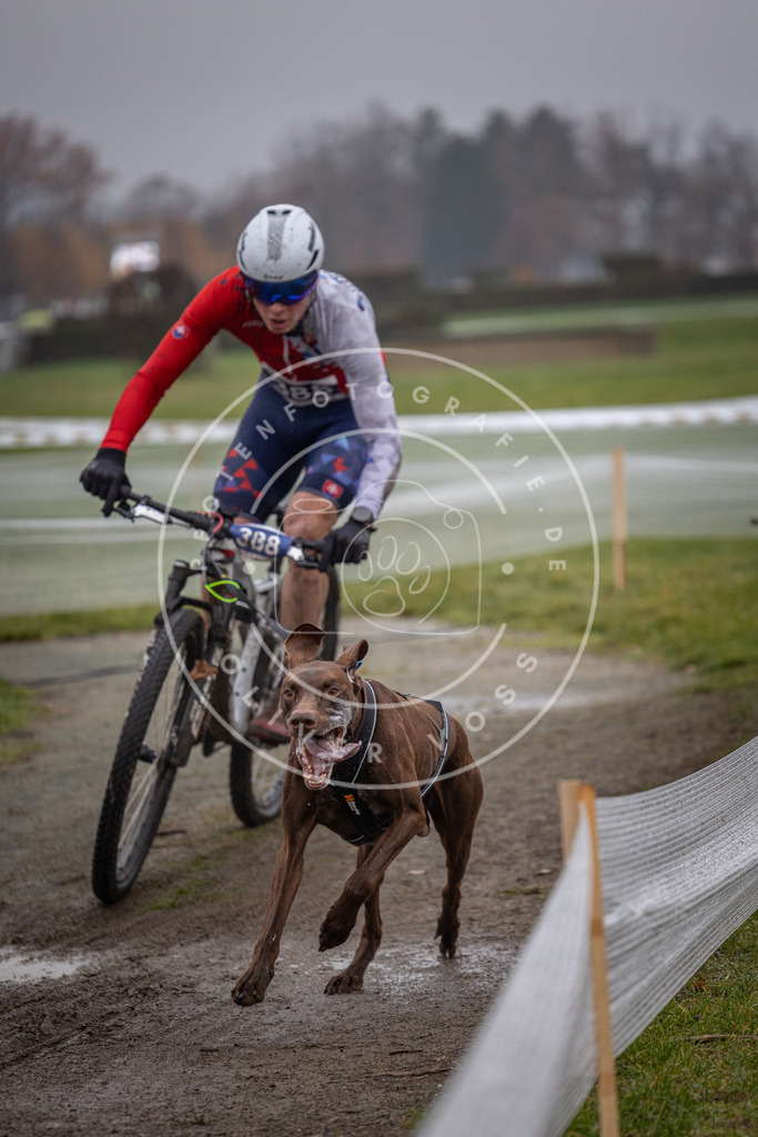 CaniXpix_0L8A1006 | Hundefotografie, Tierfotograf, Pfotenfotografie, Fotoshooting Hund, Hunde Portrait, Hundesport, Hundeportraits, Heideshooting, Hunde, Sportfotograf, Hundefotograf, Turnierhundsport, THS,  - Realisiert mit Pictrs.com
