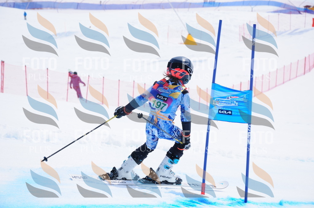 DSC_1760 | holidayphoto