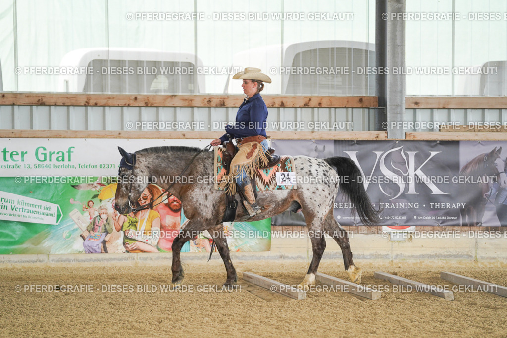 DSC02945 | Pferdegrafie