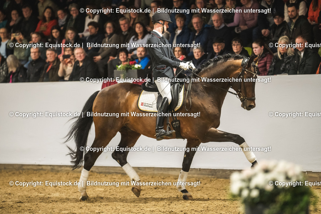 20240302_Hengstvorstellung_Marbach_TOMsPiC_1262 | equistock