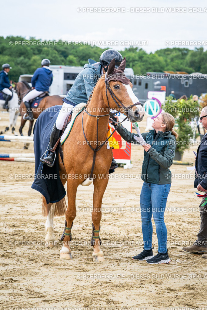 DSC06303 | Pferdegrafie