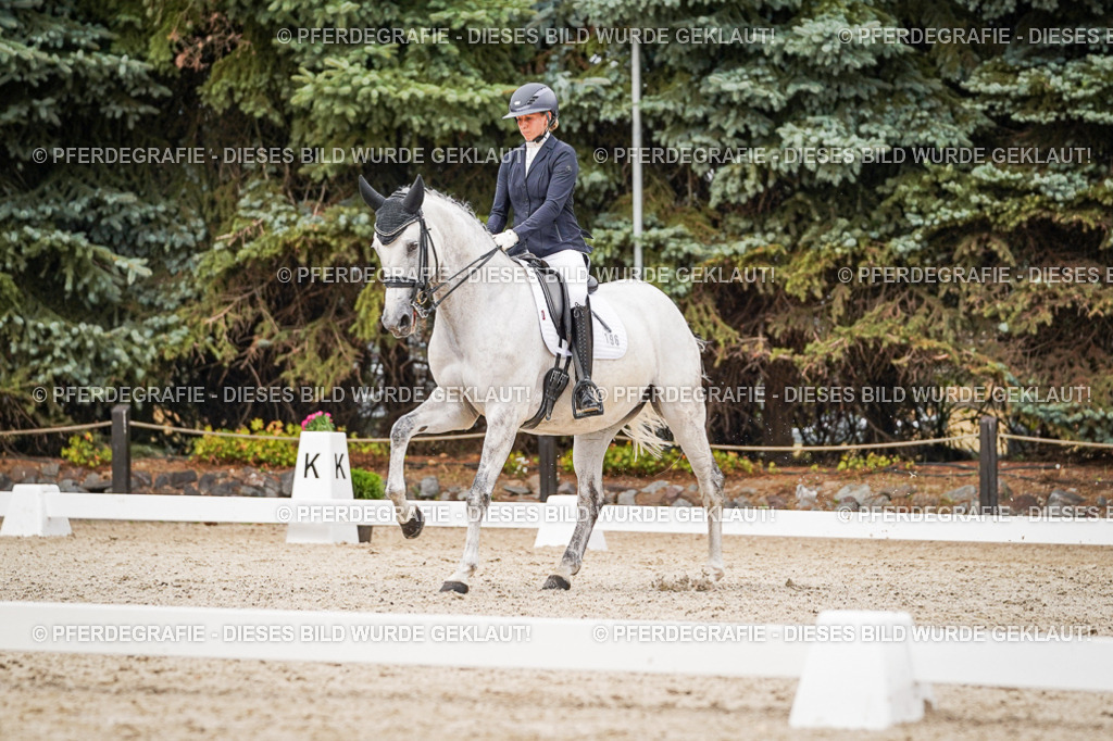 DSC07776 | Pferdegrafie