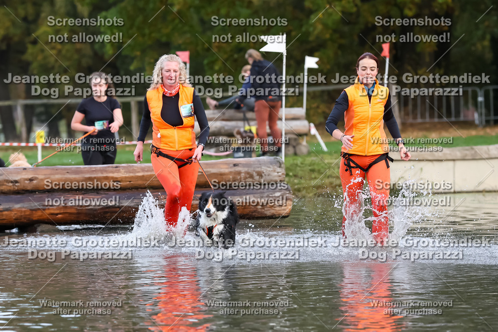 Dog Paparazzi - Strongdog 10-25-6466 | Dog Paparazzi Jeanette Grottendiek Fotografie & Videografie - Realisiert mit Pictrs.com