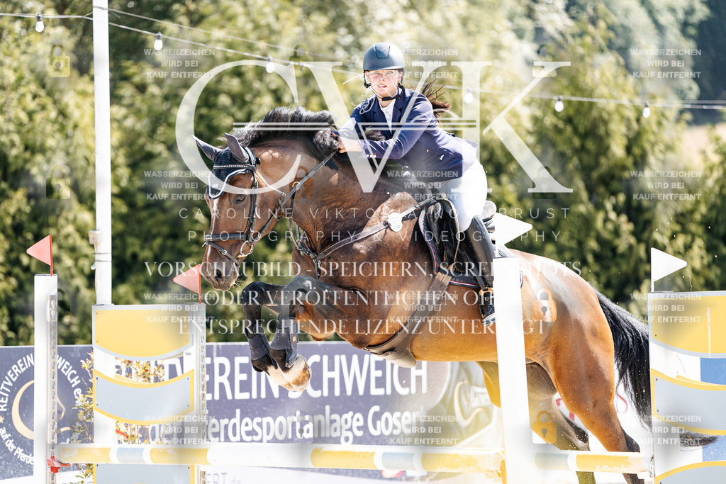 CK909258 | Turnierfotografie Pferdefotografie Trier Rheinland-Pfalz Pferdesport Reitsport Tierfotografie Sportfotografie Pferdevideo Pferdevideografie Equestrianvideography equestrianphotography  - Realisiert mit Pictrs.com