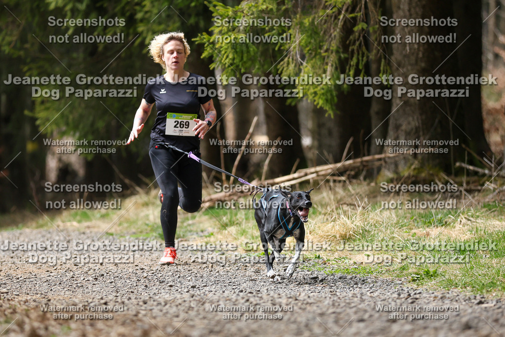 Dog Paparazzi - VCC26-510 | Dog Paparazzi Jeanette Grottendiek Fotografie & Videografie - Realisiert mit Pictrs.com