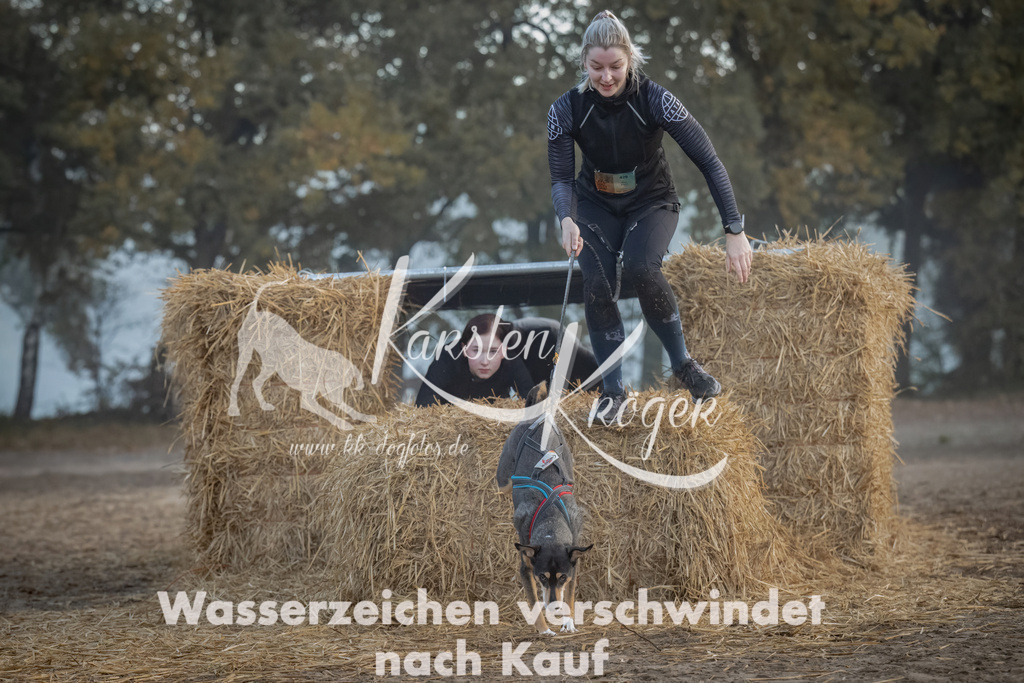 0833_ZZ98262 | kk-dogfotos