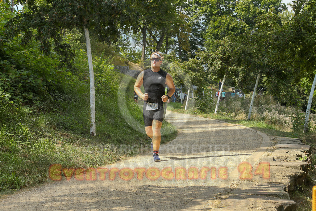 250824_1504_EX1_8445 | Sportfotografie im Rhein-Sieg Kreis, Köln, Bonn, NRW, Rheinland Pfalz, Hessen, etc. Unser Tätigkeitsfeld umfasst den Laufsport vom Volkslauf über den Marathon, Duathlon, Triathon bis zum Ultralauf wie Kölnpfad Ultra oder Schindertrail.