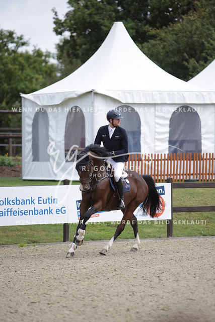 1J2A1279Lucas Wenz_ Crazy Peter 3_ Kn1032_ Havekost | Foto- und Videografie für alles rund ums Pferd. Hochwertige Bilder und Videos vom Spring- und Dressurreiten, Voltigieren & mehr. Jetzt aktuelle Veranstaltungen und Preise im Shop ansehen. - Realisiert mit Pictrs.com
