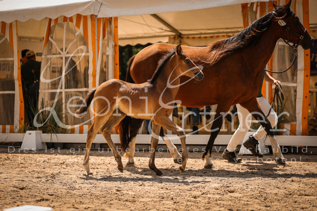 03.DoAB00014 | Leoni Ertmer Photography - Realisiert mit Pictrs.com